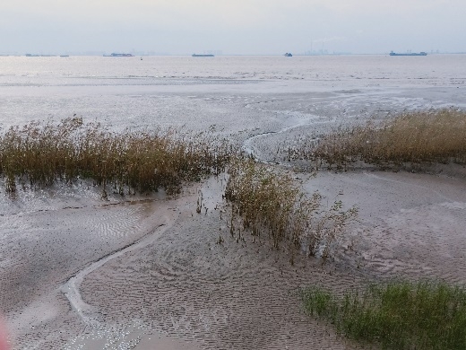image017