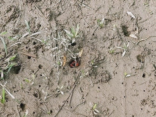 image013