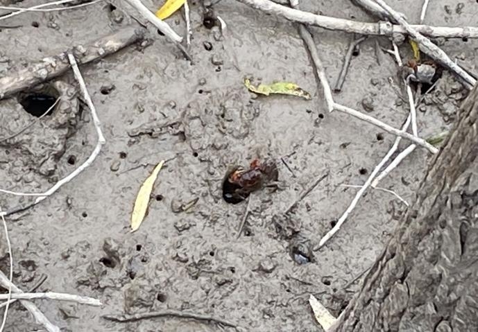 image041
